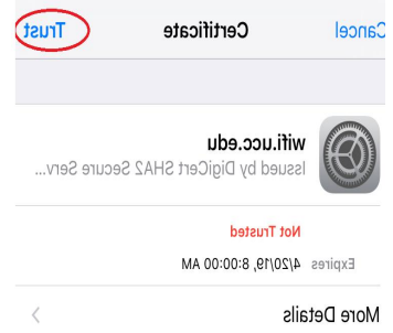 iPhone证书信任界面